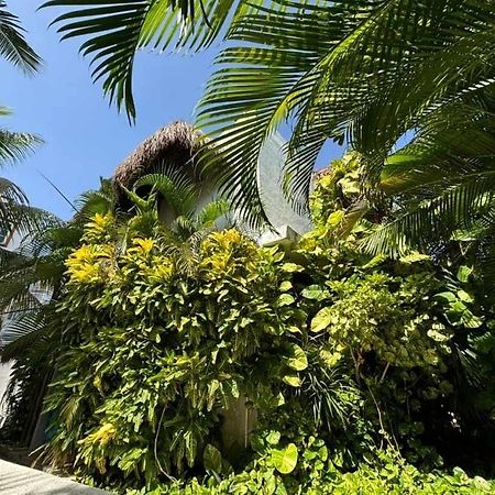 Casa Nona Rosa Daire Cancun Dış mekan fotoğraf