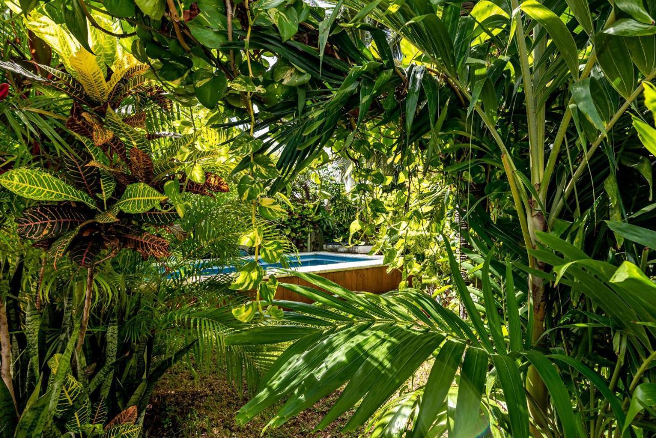 Casa Nona Rosa Daire Cancun Dış mekan fotoğraf